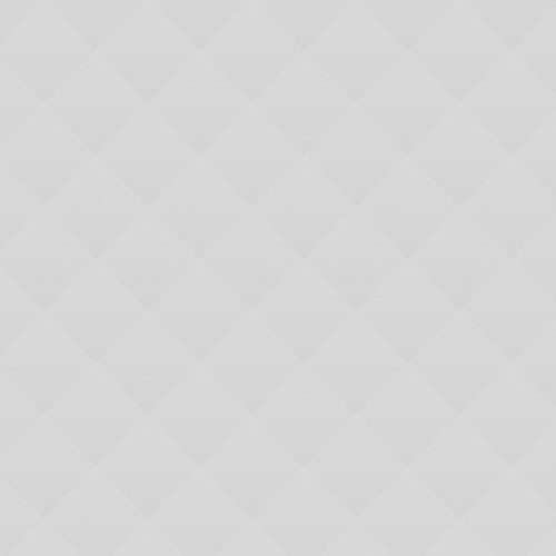 Online Reputation Management